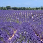 La Maison Dans L'olivette *