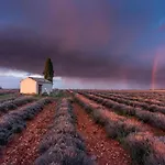 La Maison Dans L'olivette * أوريزون