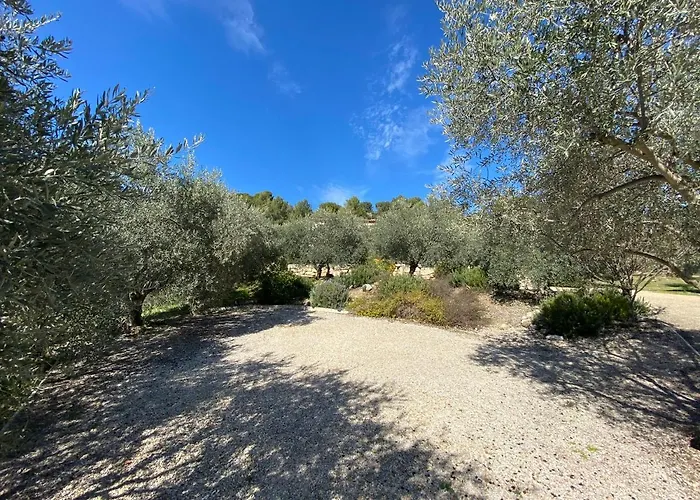 La Maison Dans L'olivette Holiday home