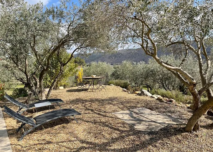 Holiday home La Maison Dans L'olivette Oraison