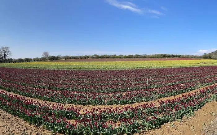 La Maison Dans L'olivette * Oraison