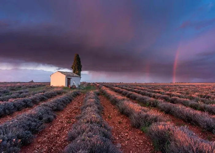 La Maison Dans L'olivette * Oraison