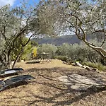 Casa vacanze La Maison Dans L'olivette Oraison