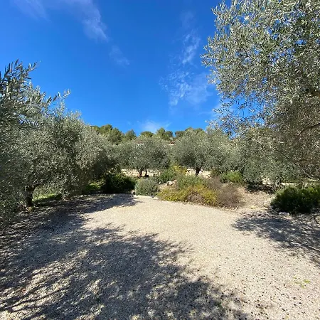 La Maison Dans L'olivette Hébergement de vacances