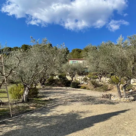 La Maison Dans L'olivette
