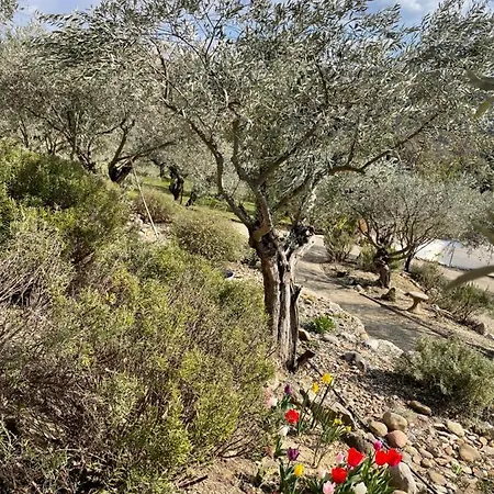 펜션 La Maison Dans L'olivette
