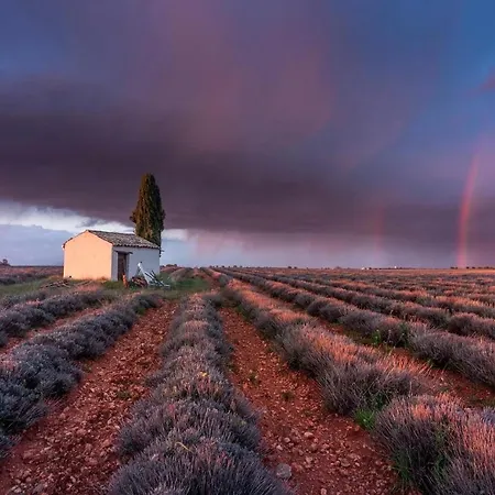 La Maison Dans L'olivette * Oraison