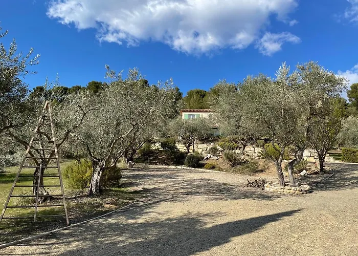 La Maison Dans L'olivette