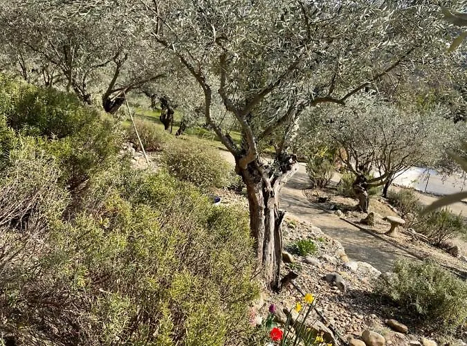 Hébergement de vacances La Maison Dans L'olivette