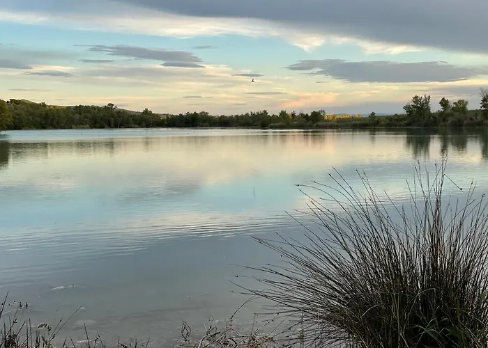 Hébergement de vacances La Maison Dans L'olivette *