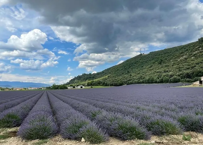 Hébergement de vacances La Maison Dans L'olivette *