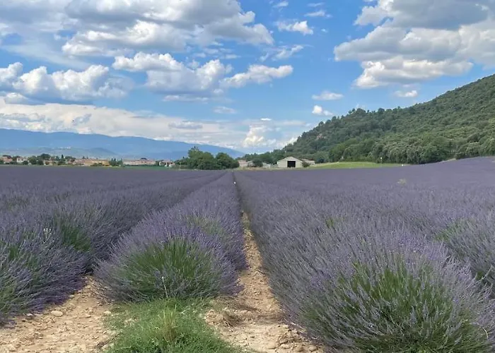 La Maison Dans L'olivette Hébergement de vacances Oraison